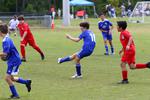 IMG_0204 (cam 0)