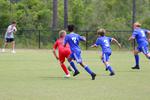 IMG_0215 (cam 0)