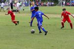 IMG_0228 (cam 0)