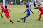 IMG_0231 (cam 0)