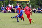 IMG_0246 (cam 0)