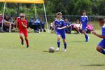IMG_0306 (cam 0)