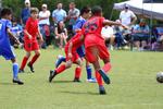 IMG_0339 (cam 0)