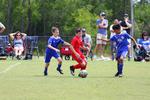 IMG_0343 (cam 0)