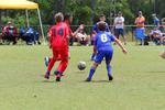 IMG_0352 (cam 0)
