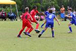 IMG_0353 (cam 0)