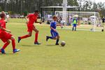 IMG_0445 (cam 0)