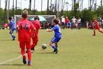 IMG_0451 (cam 0)