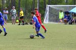 IMG_0452 (cam 0)