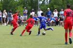 IMG_0480 (cam 0)
