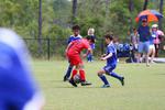 IMG_0484 (cam 0)