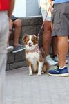 IMG_0021 (cam 6)
