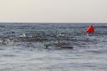 IMG_0152 (cam 6)