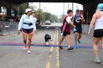 IMG_5365 (cam 1)
