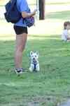 IMG_2863 (cam 2)