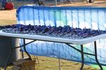 IMG_0007 (cam 2)