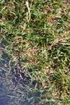 IMG_0901 (cam 2)