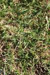 IMG_0902 (cam 2)
