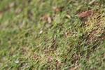 IMG_6901 (cam 2)