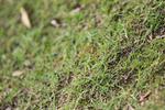 IMG_6904 (cam 2)