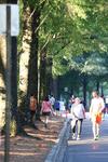 IMG_0606 (cam 2)
